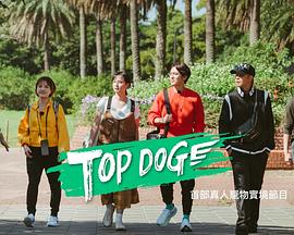 桃花社区视频《TOP DOG》免费在线观看