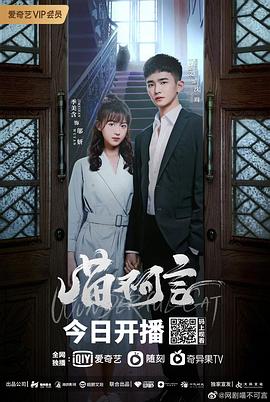 桔子视频《喵不可言》免费在线观看