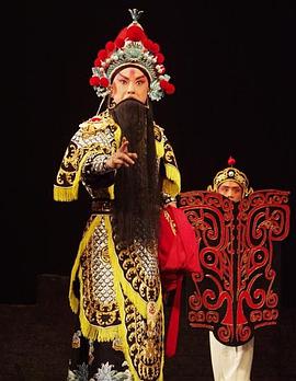 桔子视频《袁崇焕2009》免费在线观看