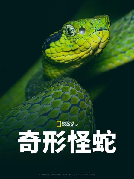 桔子视频《奇形怪蛇》免费在线观看